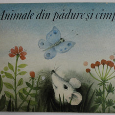 ANIMALE DIN PADURE SI CAMPIE , idee si ilustratii de ERIKA BAARMANN , 1986