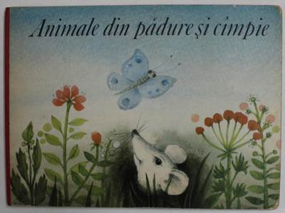 ANIMALE DIN PADURE SI CAMPIE , idee si ilustratii de ERIKA BAARMANN , 1986 foto