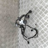 Cablaj Usa Dreapta Fata Audi Q7 4L (2007) OEM 4L0971029