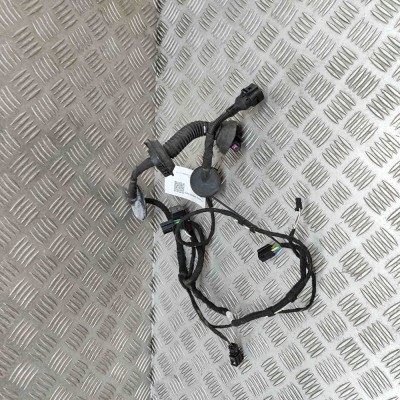 Cablaj ușă dreapta față AUDI Q7 4L 2007 OEM: 4L0971029 28445338 foto