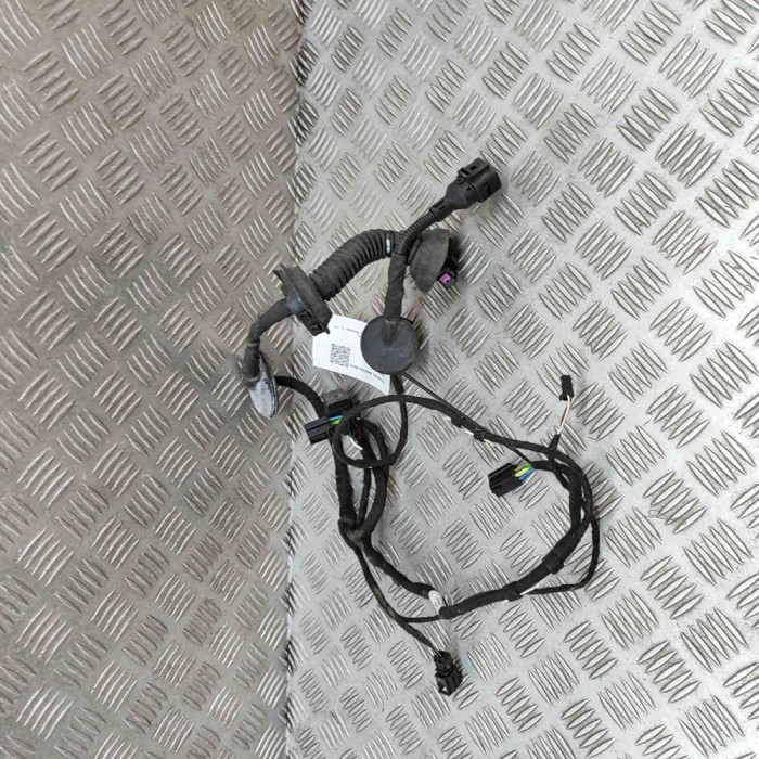 Cablaj ușă dreapta față AUDI Q7 4L 2007 OEM: 4L0971029 28445338