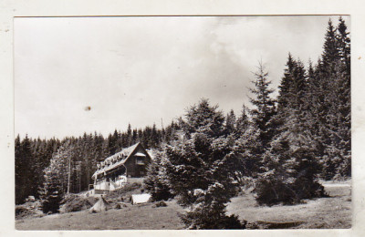 bnk cp Muntii Apuseni - Cabana Baisoara - uzata foto