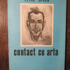 Contact cu arta - Petre Oprea