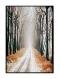 Tablou decorativ olegrafie pe panza Forest 50 x 70 cm