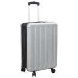 vidaXL Valiză Pliabilă Carcasa Dura 24&#039;&#039; Argintie 43x27x66 cm ABS