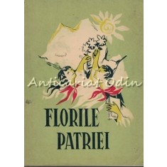 Florile Patriei - Consiliul Judetean Iasi