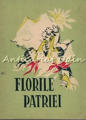 Florile Patriei - Consiliul Judetean Iasi