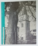 ANSAMBLUL BARATIEI DIN CAMPULUNG - MUSCEL , prezentare de arh. LAURENTIU VASILESCU , 1968