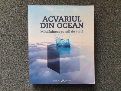 ACVARIUL DIN OCEAN - Daniela Andreescu foto