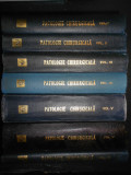 TH. BURGHELE - PATOLOGIE CHIRURGICALA 7 volume (1975-1976, editie cartonata)