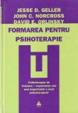 Jesse D. Geller, John C. Norcross, David E. Orlinsky - Formarea pentru