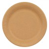 Set Farfurii Carton Kraft, 23cm, 10 Bucăți, Compostabile, Oem