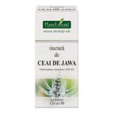 Tinctura Ceai de Jawa 120ml PlantExtrakt Cod: PLAX.00092