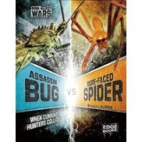 Assassin Bug Vs Ogre-Faced Spider