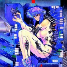 The Ghost in the Shell Volume 1