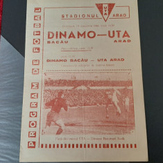 program UTA - Dinamo Bacau