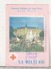 Bnk cld Calendar de buzunar 1981 - Comitetul judetean Crucea Rosie Satu Mare