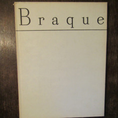 Braque - Dan Grigorescu / Irina Fortunescu