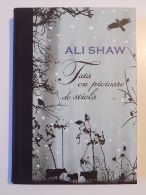 FATA CU PICIOARE DE STICLA de ALI SHAW 2010 foto