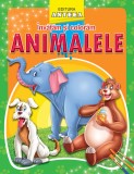 Invatam si coloram - Animalele |, Anteea