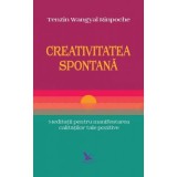 Creativitatea spontana - Tenzin Wangyal Rinpoche
