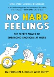 No Hard Feelings: Emotions at Work (and How They Help Us Succeed)
