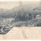 427 - BOURENI, Maramures, Panorama, Litho, Romania - old postcard - used - 1901