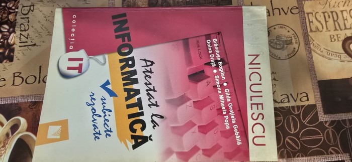 Brandusa Bogdan Atestat la informatica