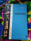 Gaurirea-Z.Duca, 1999