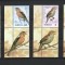 ROMANIA 2022 - PASARI CANTATOARE, VINIETA 2, MNH - LP 2391