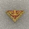 Insigna rusia