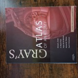 GRAY&#039;S ATLAS OF HUMAN ANATOMY