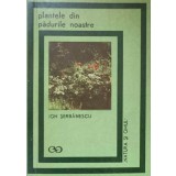 PLANTELE DIN PADURILE NOASTRE-ION SERBANESCU-266450