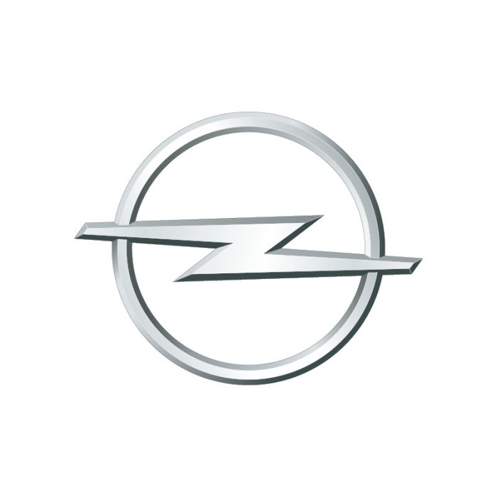 OPEL 93165555 Ulei de motor 5W-30
