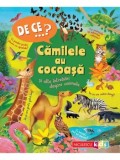 De ce&hellip;? Camilele au cocoasa si alte intrebari despre animale/Anita Ganeri