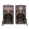 Set 2 Boxe Profesionale Active Smart Bass 284, 600W, Functie Bluetooth, SD Card, USB, Jocuri de lumini, Amplif