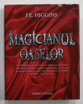 MAGICIANUL OASELOR de F.E. HIGGINS , 2009 foto