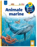 Animale marine - Silvia Ursache-Brega
