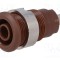 Conector banană 4mm soclu 24A 1kV &Oslash;12,2mm maro nichelat ST&Auml;UBLI