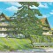 bnk cp Timisu de Sus - Hotel Timis - necirculata - marca fixa