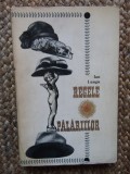 Ion Lungu &ndash; Regele palariilor, 1967