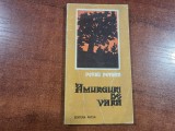 Amurguri de vara de Petru Petrica