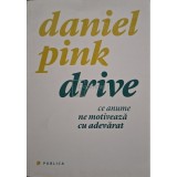 Daniel Pink - Drive (Editia: 2011)