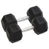 VidaXL Gantere, 2 buc., 20 kg, total fontă