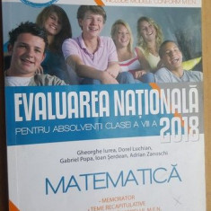 Evaluarea nationala pentru absolventii clasei a VIII-a 2018 matematica- Gheorghe Iurea, Dorel Luchian