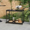Gossi carucior de bar, negru, 100x45x83 cm, poliratan