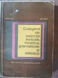 Culegere de exercitii lexicale, fonetice, gramaticale si stilistice- Mihail Andrei, Iulian Ghita