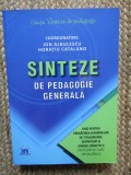 Sinteze de pedagogie generala. Ghid pentru pregatirea examenelor de titularizare, definitivat si gradul didactic II - Ion Albulescu, Horatiu Catalano