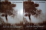 IUBIRE IMAGINARA VOL.1-2 (CU DEDICATIA AUTORULUI)-IORGU GALATEANU-336413