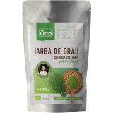 Iarba de Grau Pulbere Ecologica/Bio 125g
